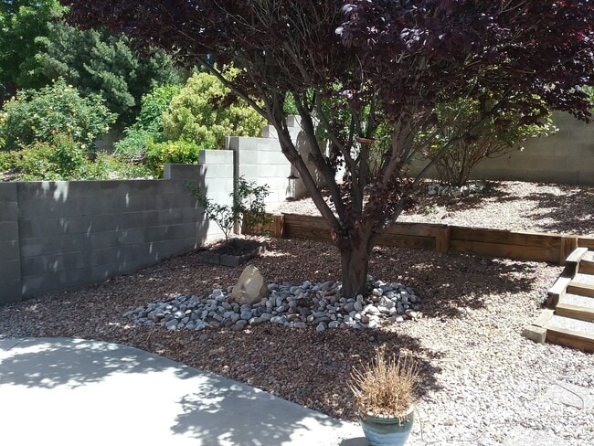 Building Photo - One Story 3 Bedroom