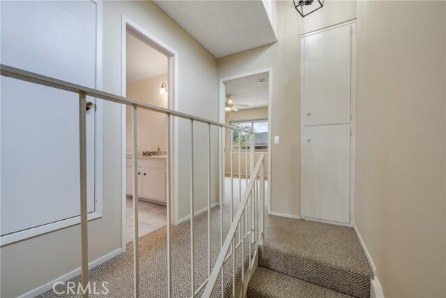 Building Photo - 245 Doverfield Dr