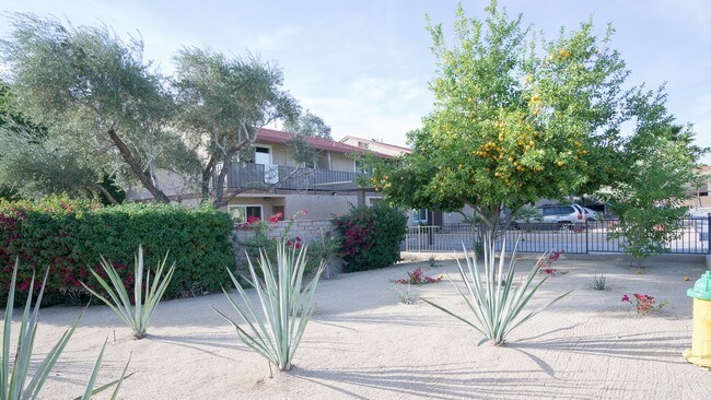 Desert Landscaping. - Victoria Townhomes