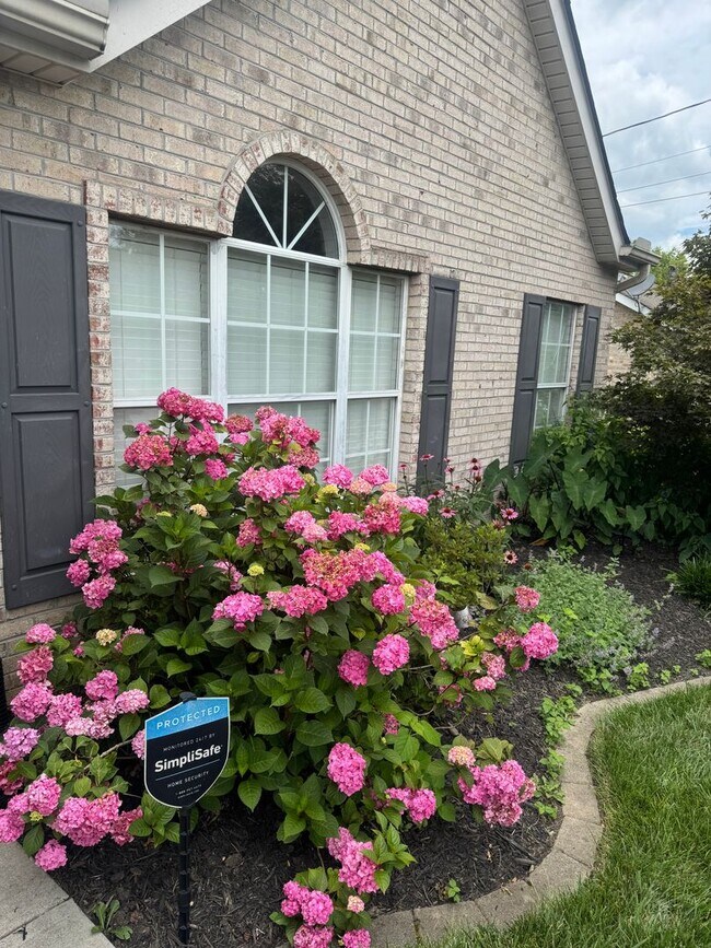 Building Photo - Knoxville 37918 - Beautiful 3 bedroom, 2 bath home in the heart of Powell - Contact Lisa Vineyard...