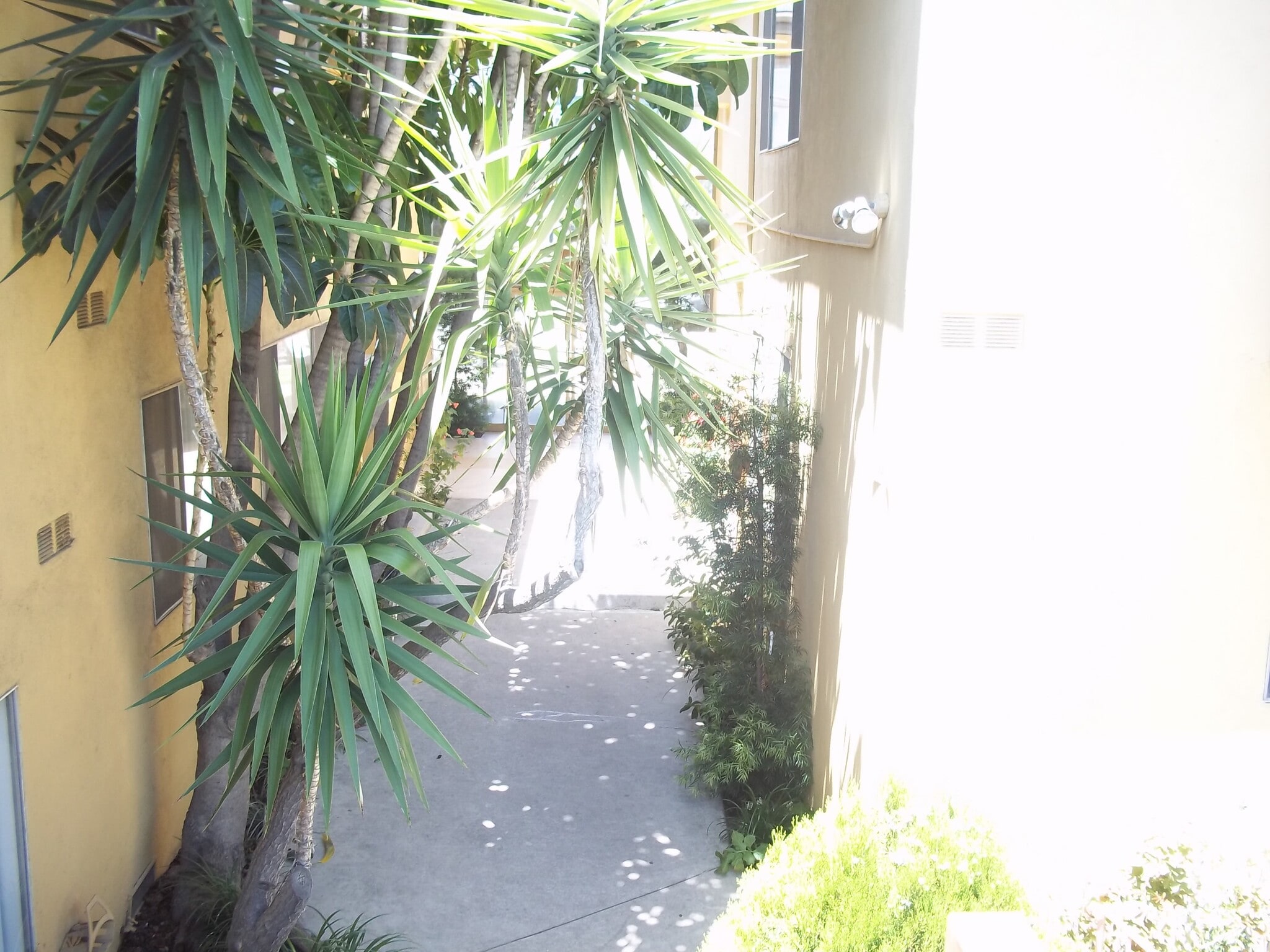 Building Photo - 5430 Corteen Pl