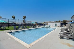 Building Photo - Terre at Bradley