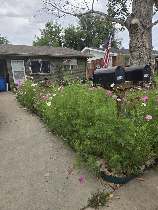 Primary Photo - 1708 Larch St
