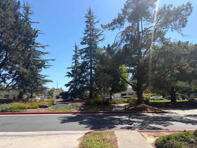Building Photo - Capitola Knolls, Remodeled 3bd. 1.5ba two-level townhome