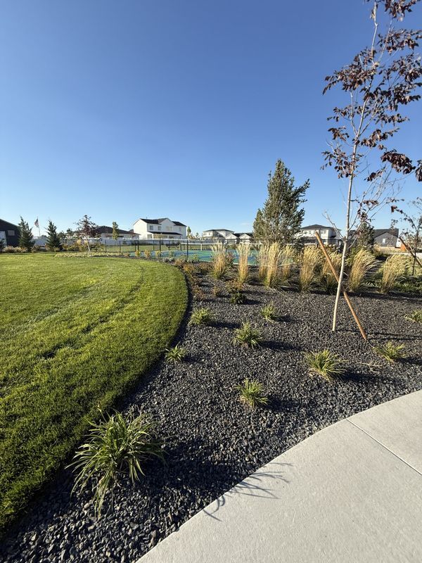 Building Photo - 15350 Blue Pinion Ave