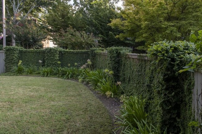 Building Photo - 801 Durant Pl NE