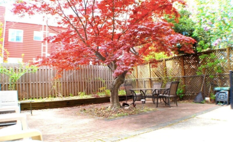 Building Photo - 16 Micieli Pl