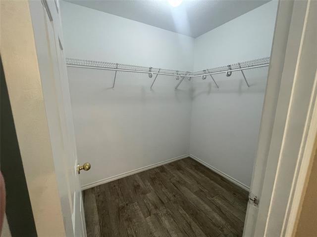Building Photo - 306 Packer Dr