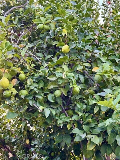 Building Photo - 12714 Vanowen St