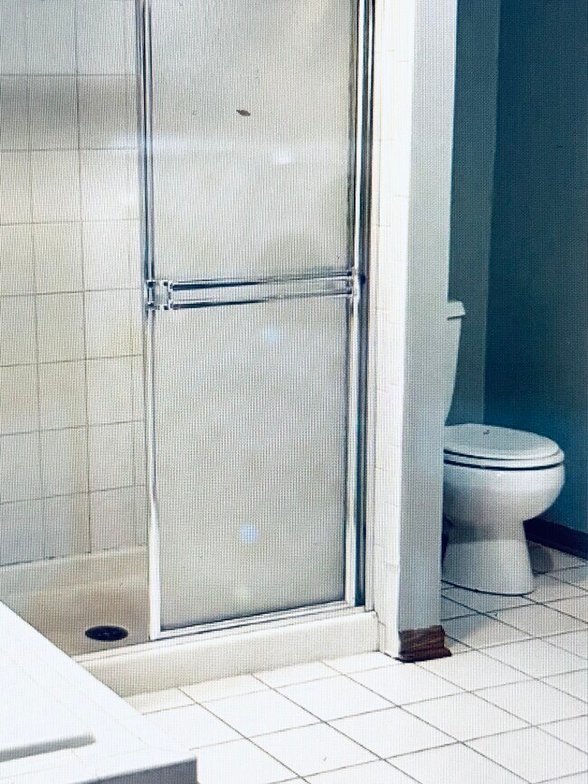 Shower view - 921 W Lawrence Ave