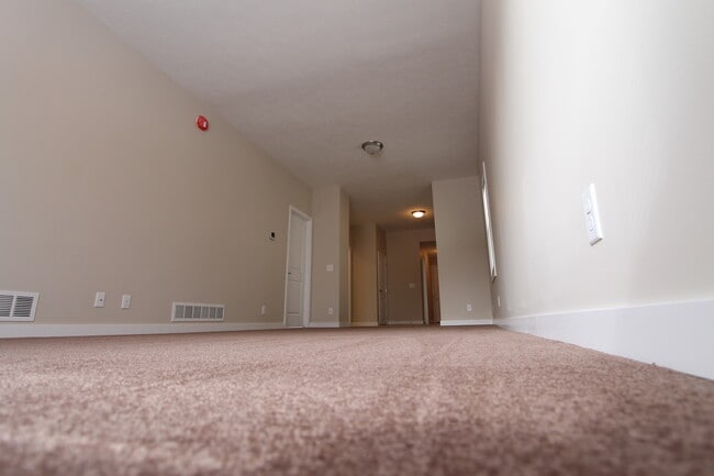 Building Photo - Fully Remodeled 3 Bedroom House!