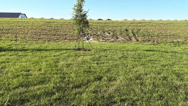 Building Photo - 3367 Alexander Dr