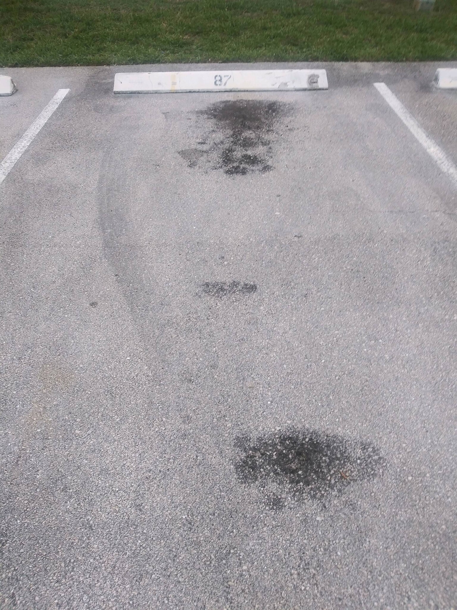 parking spot - 1860 My Pl