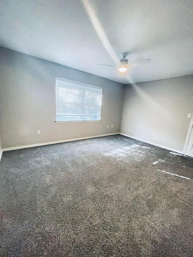 Building Photo - 214 Tooke St