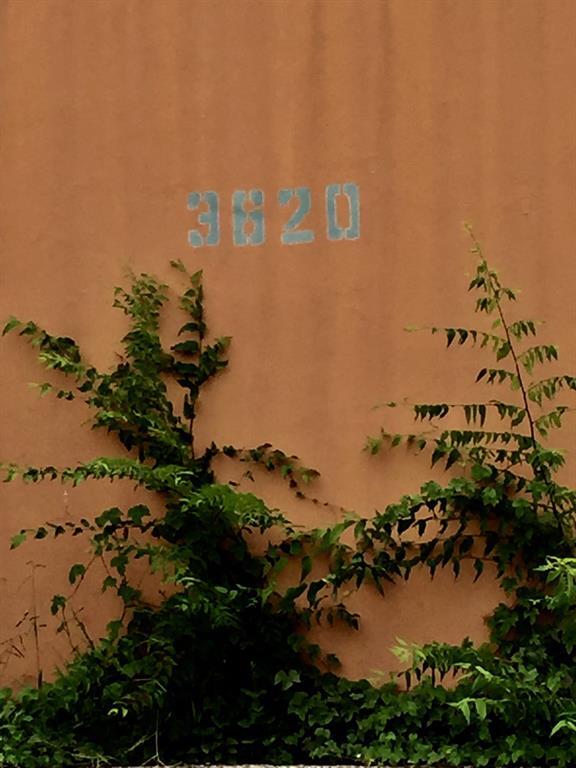 Building Photo - 3620 Reveille St