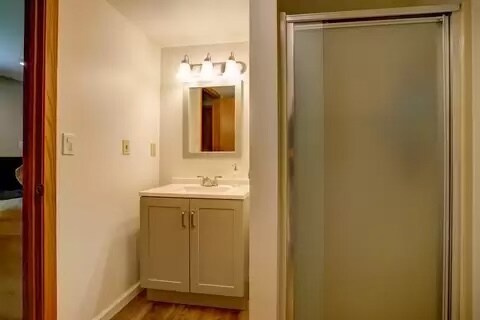 Basement Bathroom - 2922 Greenway Trl