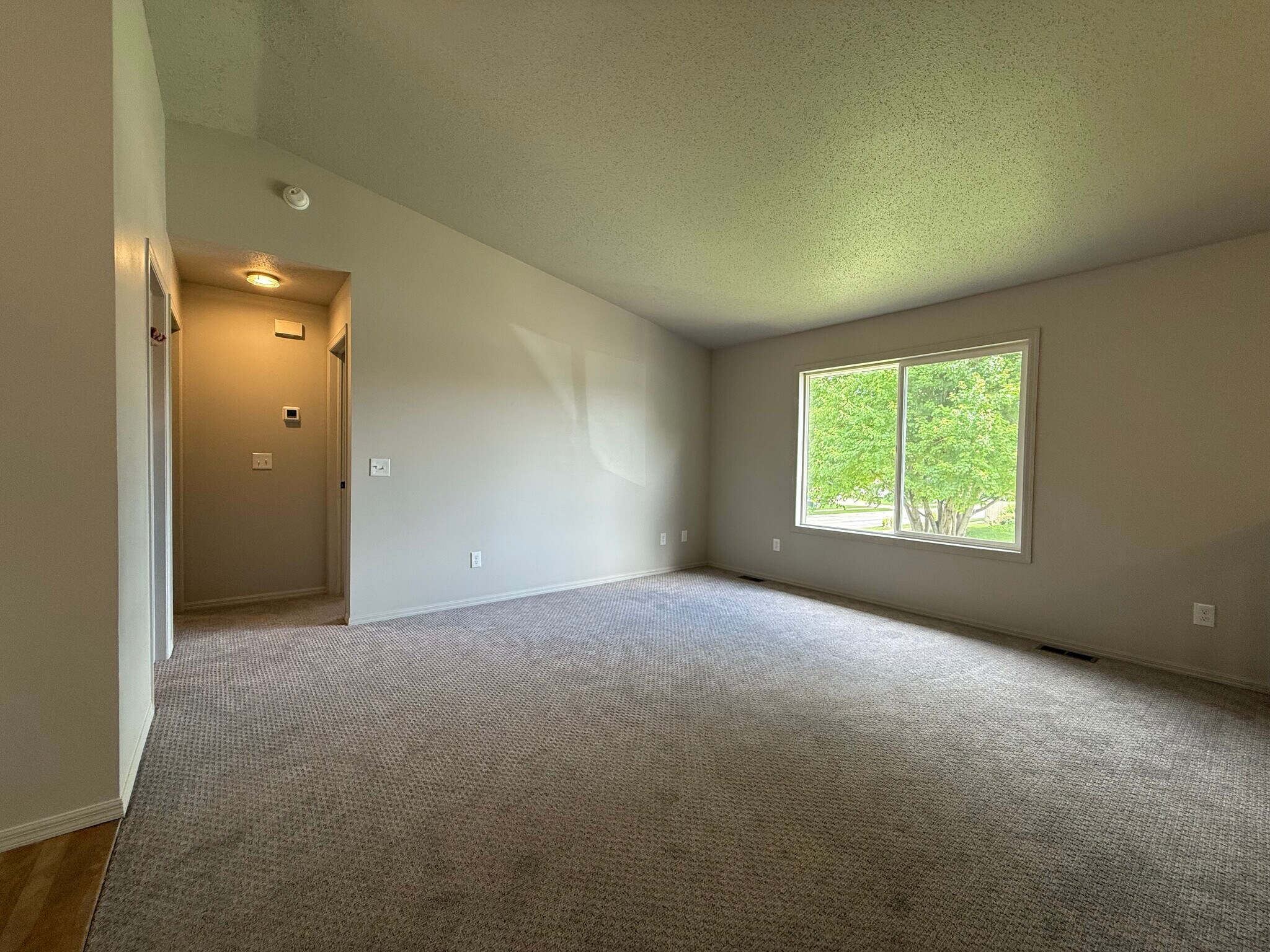 New carpet and fresh paint - 2005 S Gordon Dr