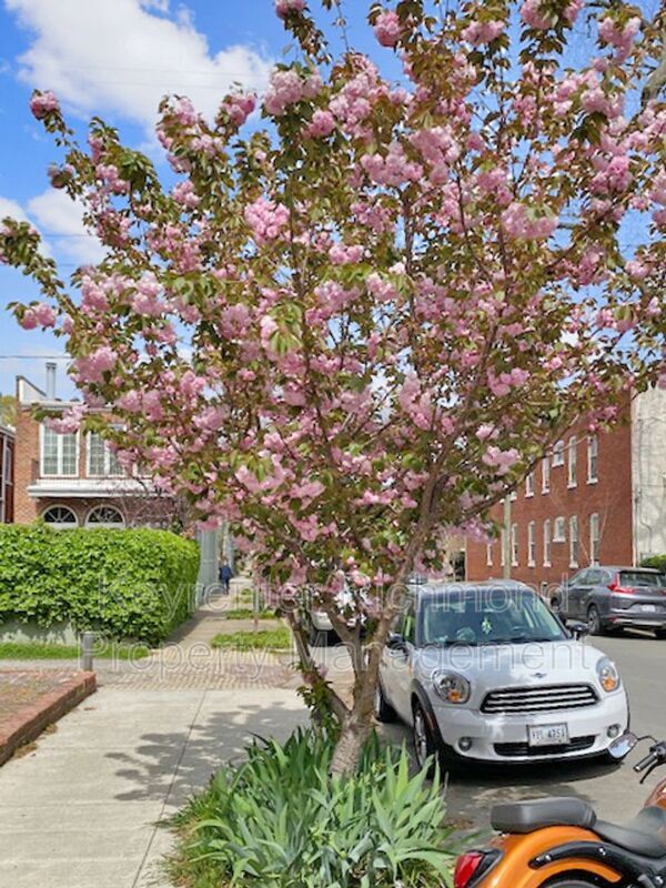 Building Photo - 210 N Stafford Ave