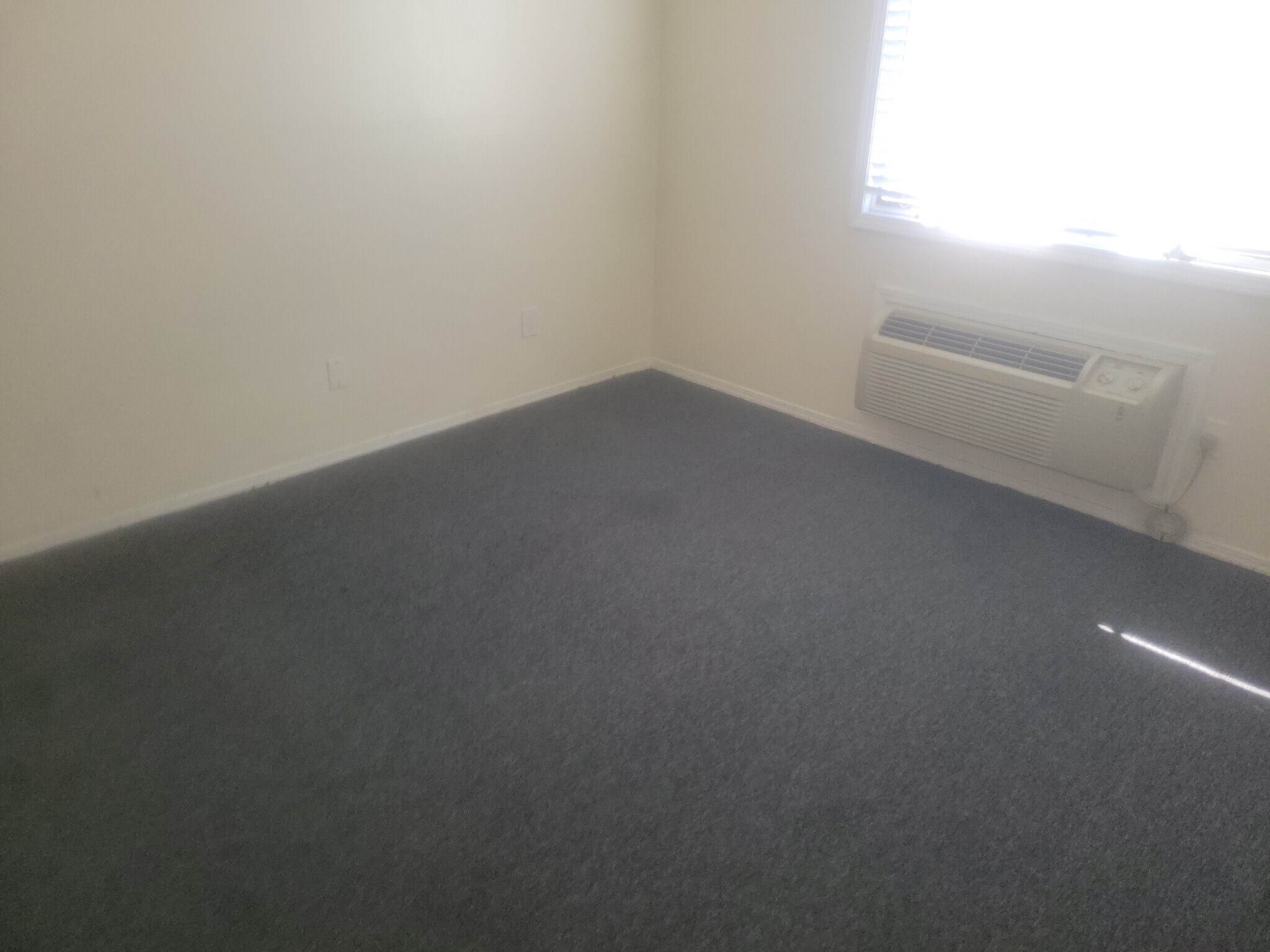 Building Photo - 219 Daniel St