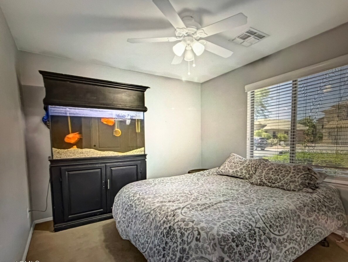 2nd Bedroom - 2913 E Runaway Bay Pl