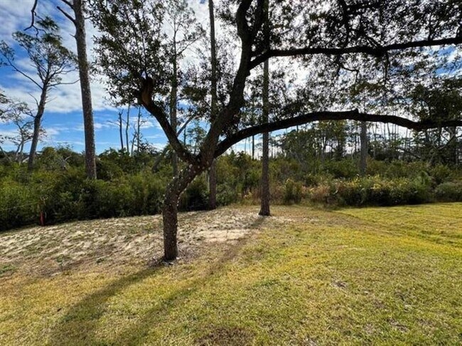 Building Photo - 3541 Sanctuary Dr