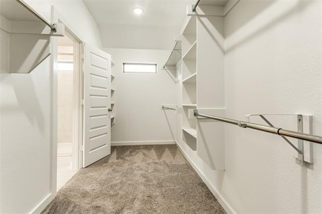 Building Photo - 5211 Bellhurst Dr