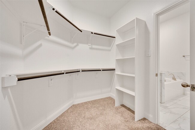 Building Photo - 6306 Loquat Grove Ct