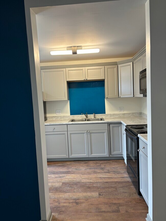 Newly remodeled - 135 W Miller Ave