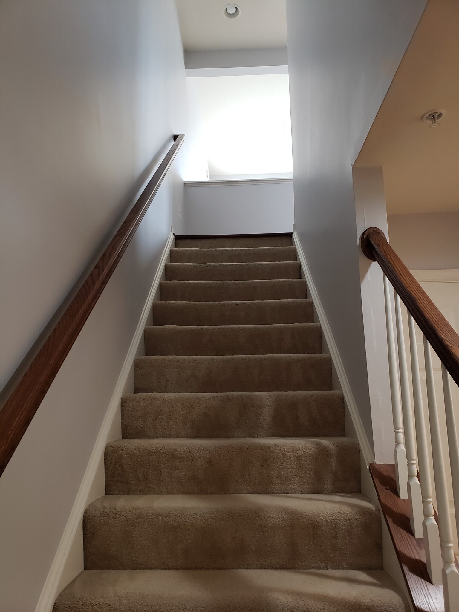 Staircase to Dining/Living/Family Rooms - 13101 Saint James Sanctuary Dr