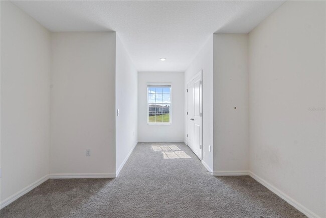 Building Photo - 32395 Turtle Grace Lp