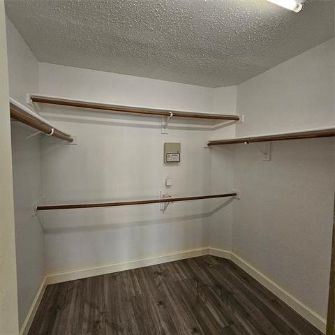 Building Photo - 2817 Oleander Dr