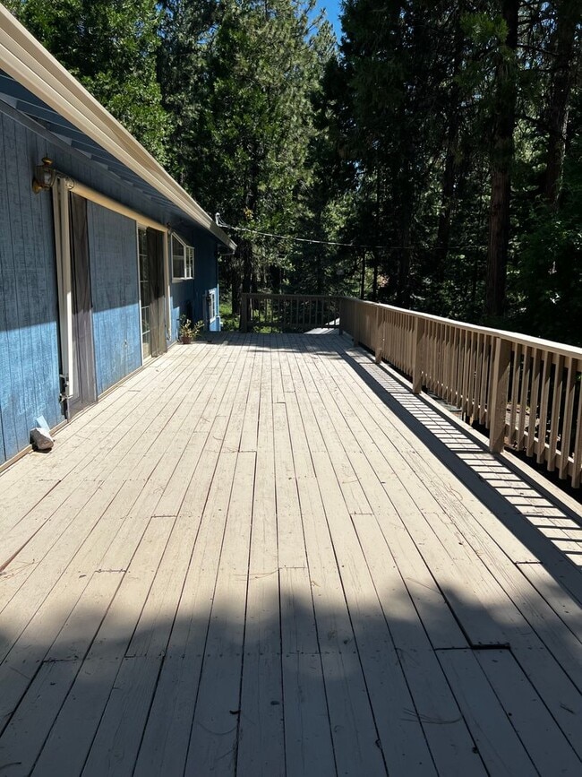Building Photo - Pioneer Home