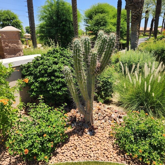Building Photo - 44010 Royal Troon Dr