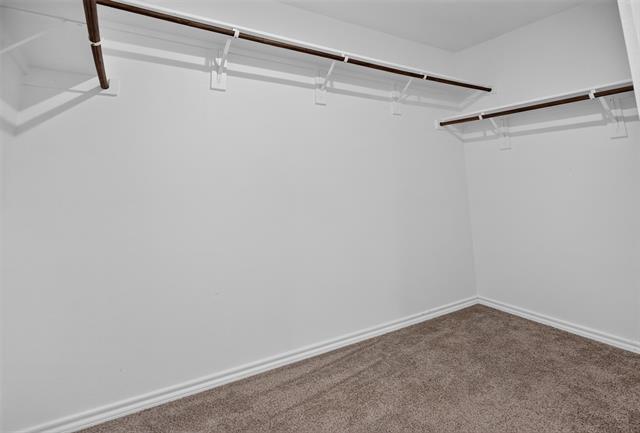 Building Photo - 149 Boxwood Dr
