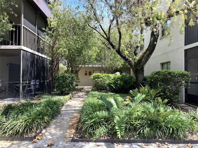 Building Photo - 11703 Raintree Village Blvd