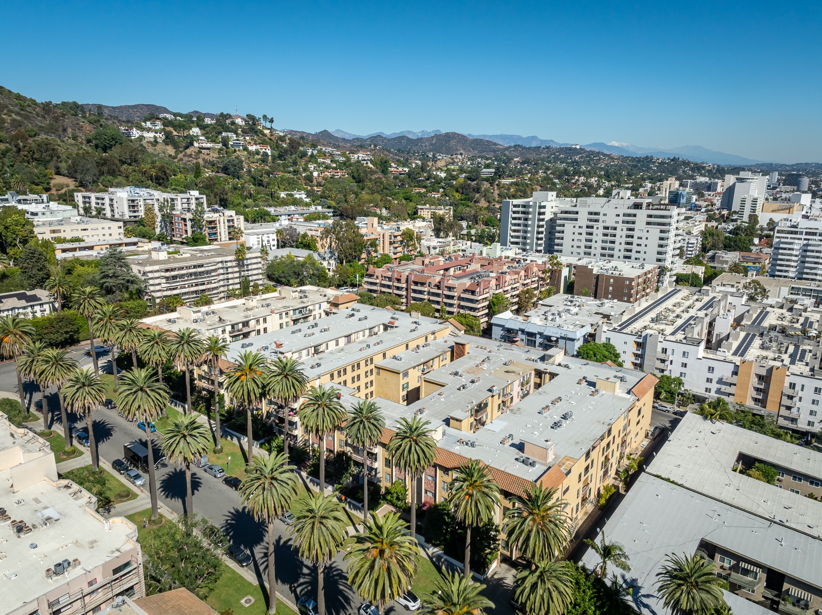 Building Photo - 1730 Camino Palmero St