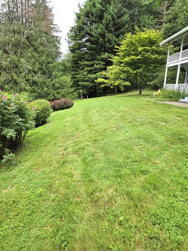 Building Photo - Exceptional Property!  Large home on 20 ac...