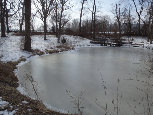 Building Photo - PERRYVILLE - Ranch style home on 1 Acre wi...