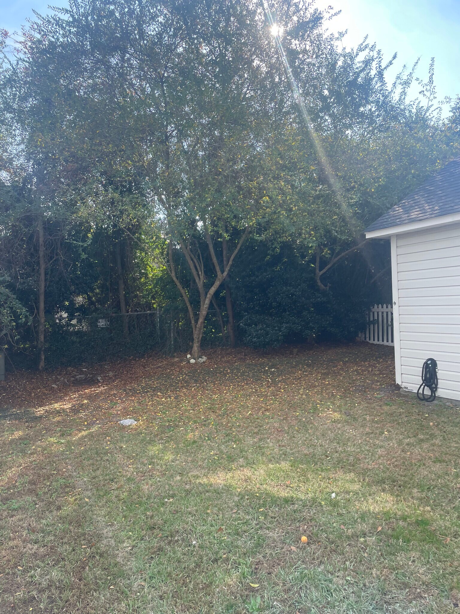 Back yard - 1811 Barberry Dr