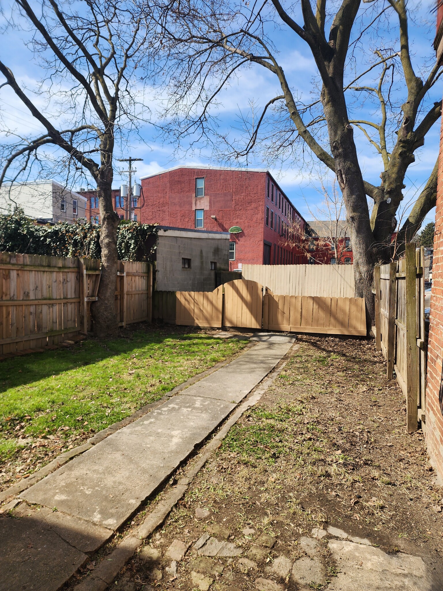 Backyard - 232 N Shippen St