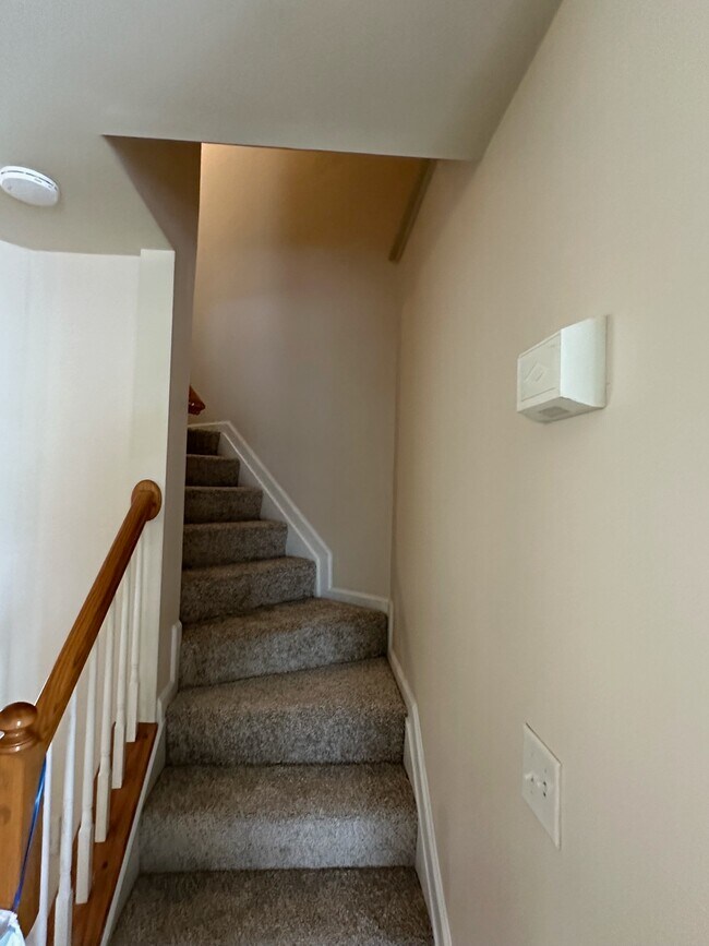 Building Photo - 803 Marquette Dr