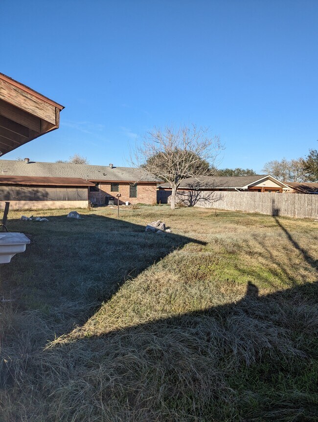 back yard - 107 W Mesquite St