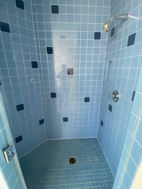 Primary Shower - 1100 Wilshire Blvd