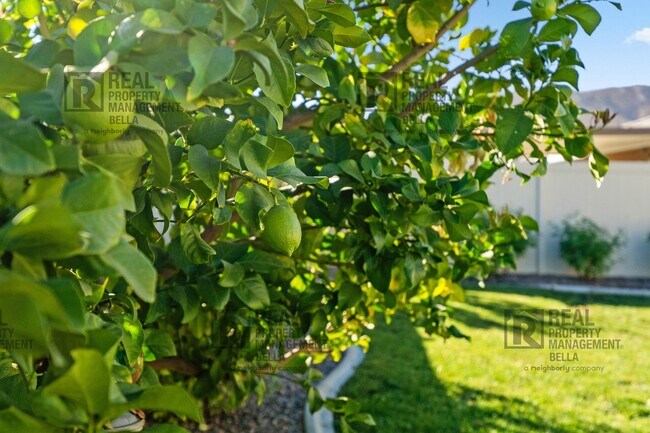 Building Photo - Spacious 4-Bed, 2-Bath Open-Concept Home i...