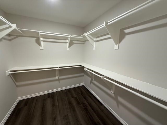 Building Photo - 1325 Chital Dr
