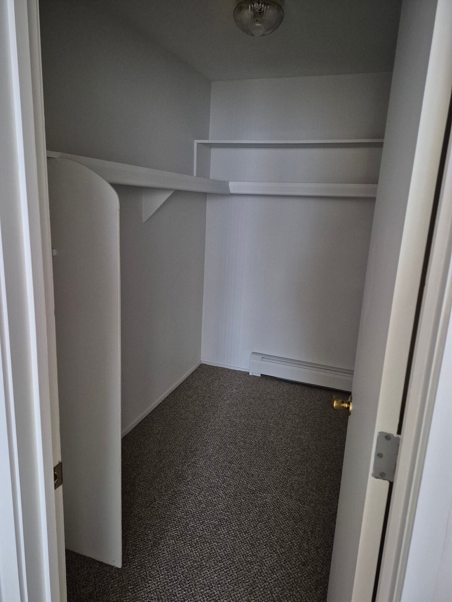 LR Closet - 239 Twelve Mile Rd