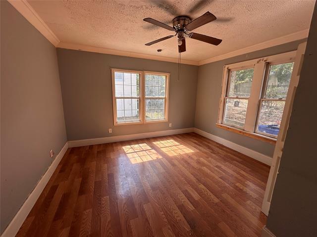 Primary Photo - 137 Lister St