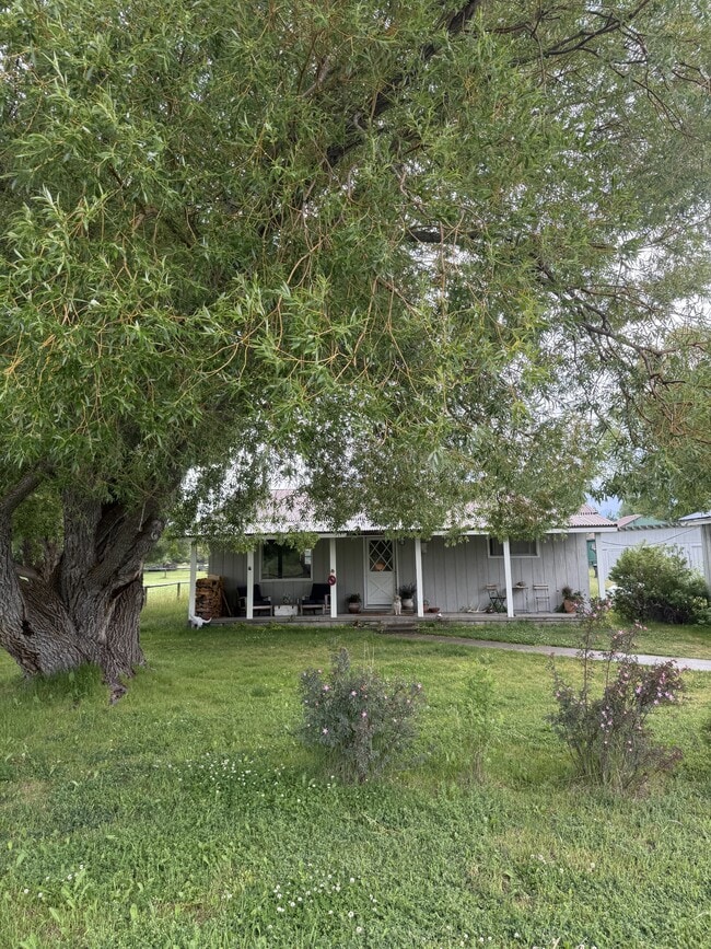 Building Photo - 980 Wenzel Ln