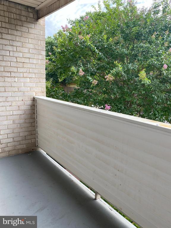 Building Photo - 5606 Bloomfield Dr