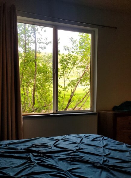 View from Master - 1600 Pinebrook Blvd